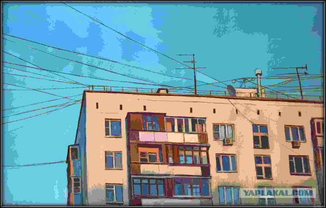 Улица Лунных Кошек