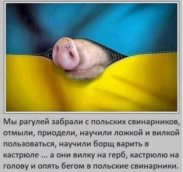 Украина официально будет воевать до последнего украинца, несмотря на ужасные потери