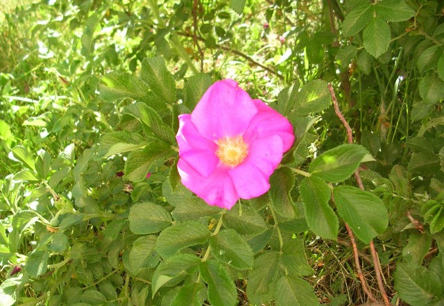 Природа Южного Урала