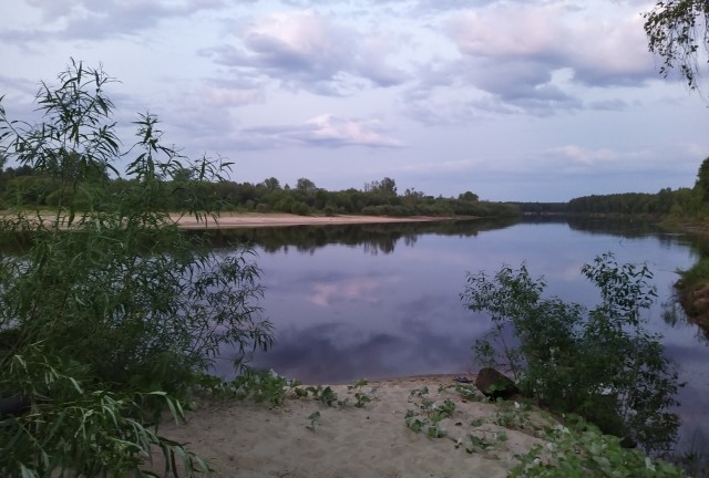 Настоящая рыбалка онлайн