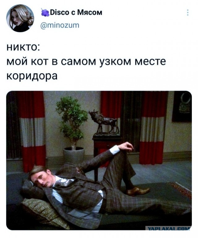 Жизнь после развода