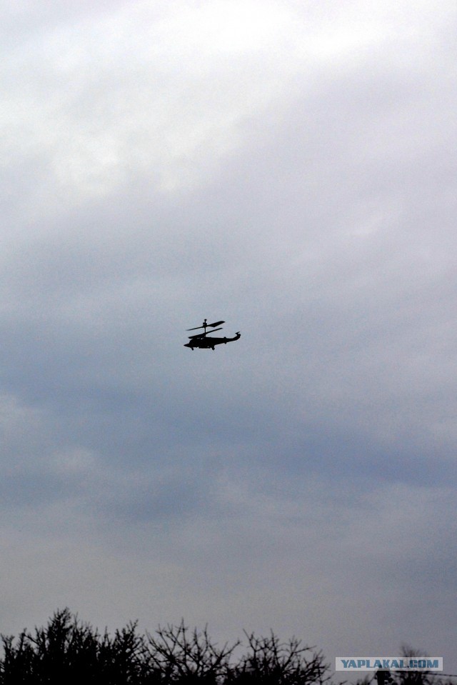 Я тоже хочу))