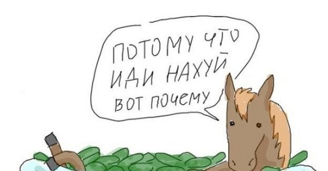 Правительство, оно на другой планете живет, родной