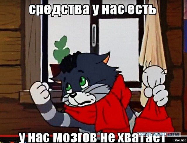 Купил коту новую игрушку