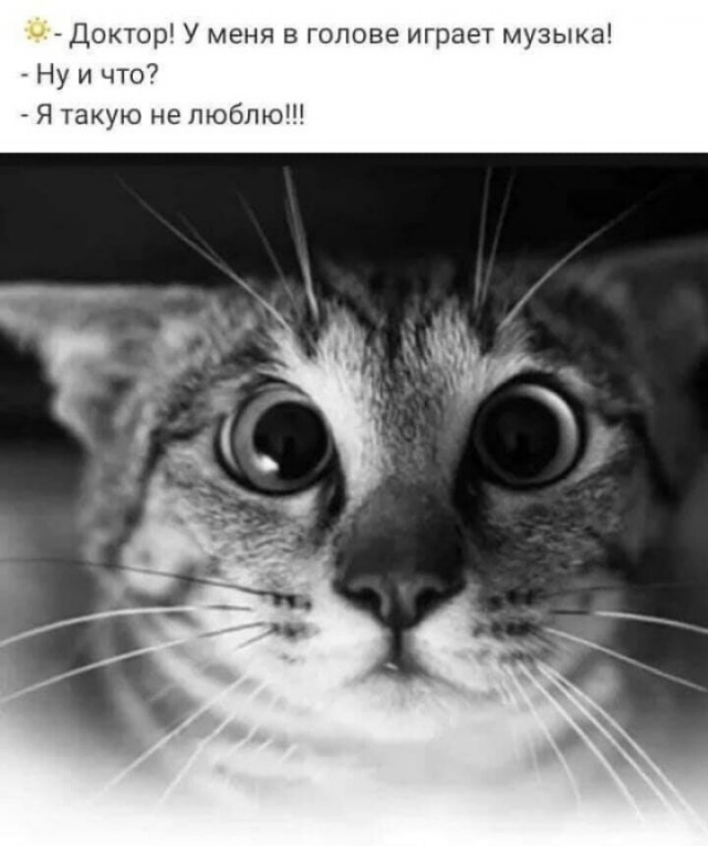 Исче бояны ЯПископаемые