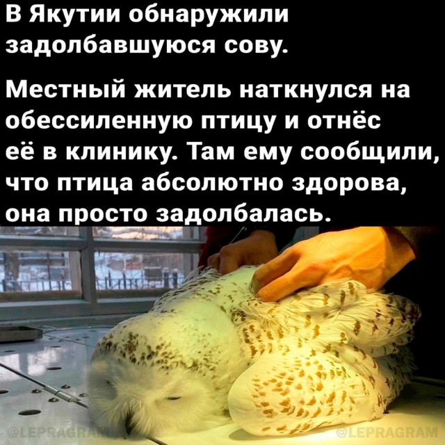 Отряд быстрого деградирования
