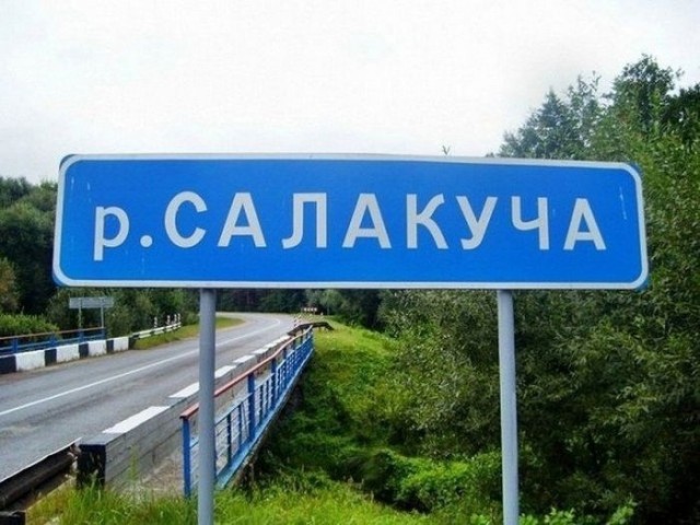 Так себе картинки 04.12.23