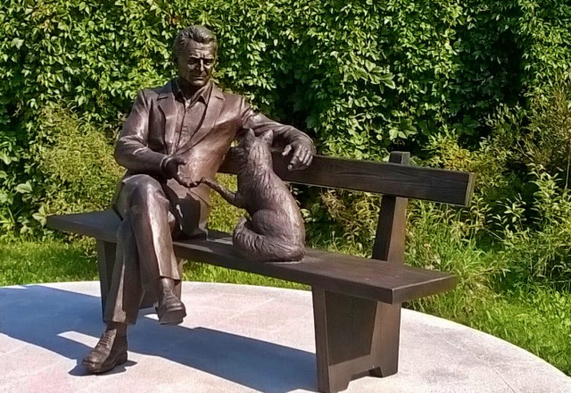 Почему не стоит заводить манула, даже если очень хочется