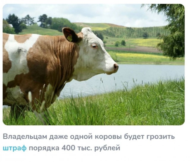 Ковид, Цифровая валюта и прочие радости