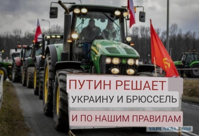 Поляки против....