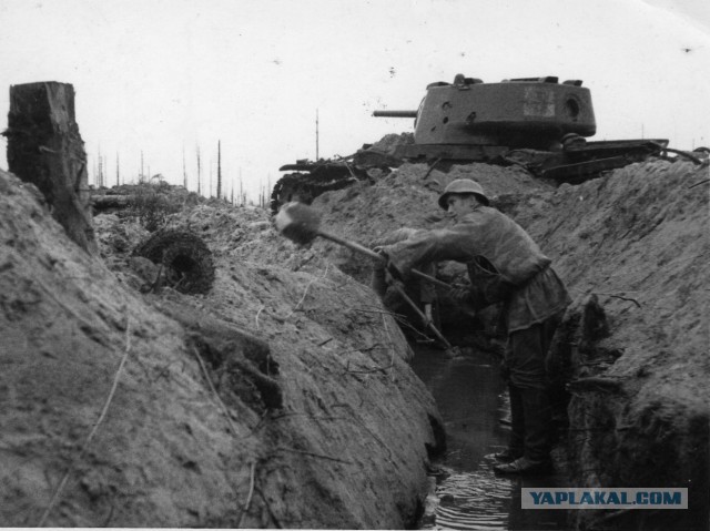 Война 1943 год