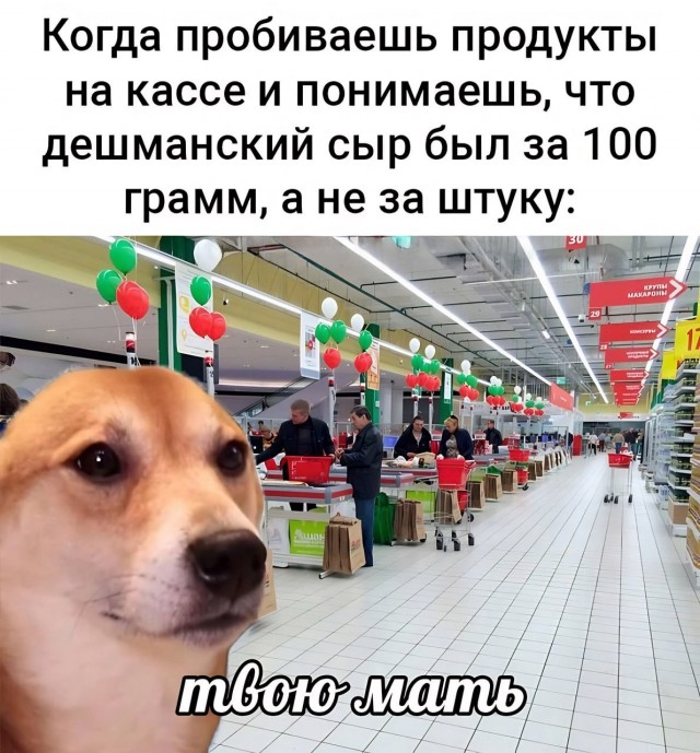 Отряд быстрого деградирования
