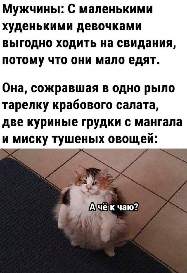 Отряд быстрой деградации