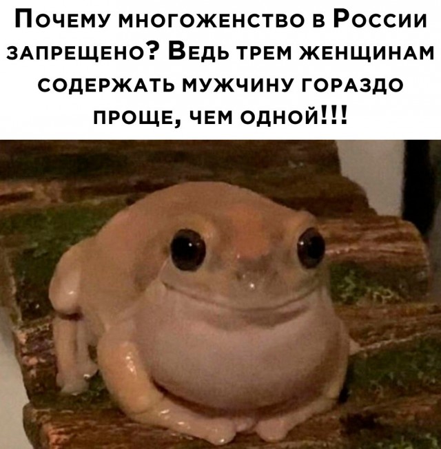 Так себе картинки 28.05.24