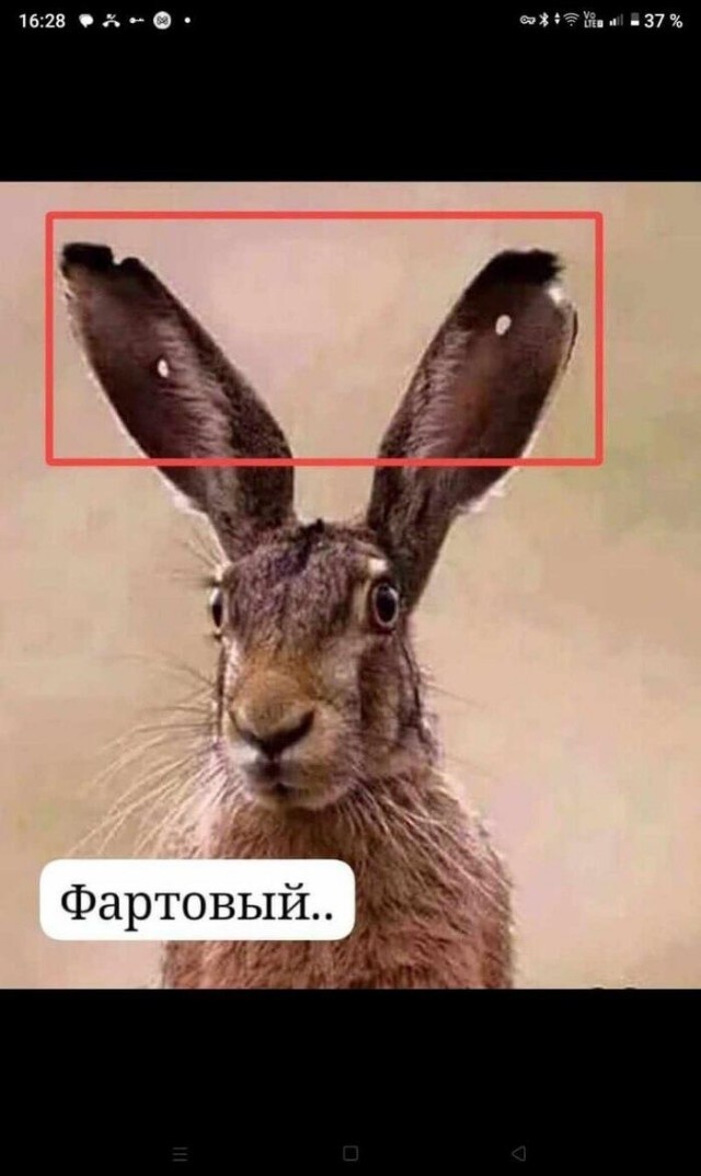 В Голливуде уже всё было