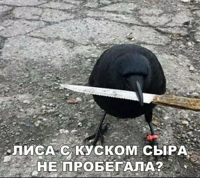 Завалялось тут случайно немного забавных картинок