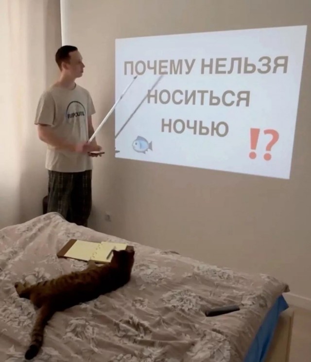 Курс прослушал