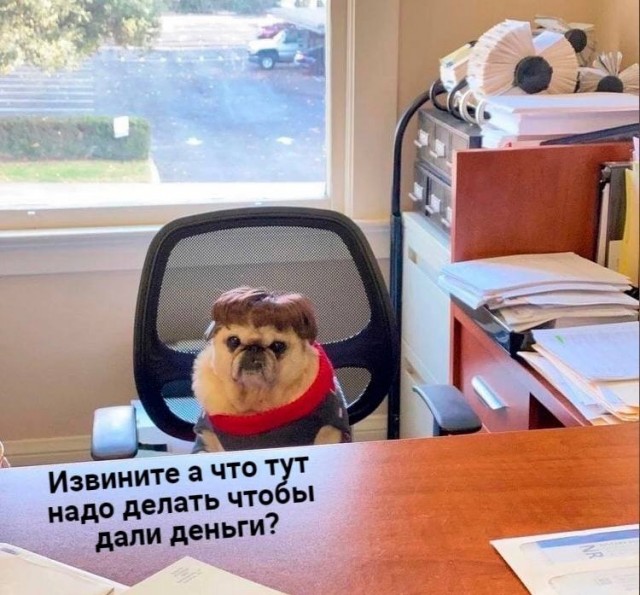 Завалялось тут случайно немного забавных картинок