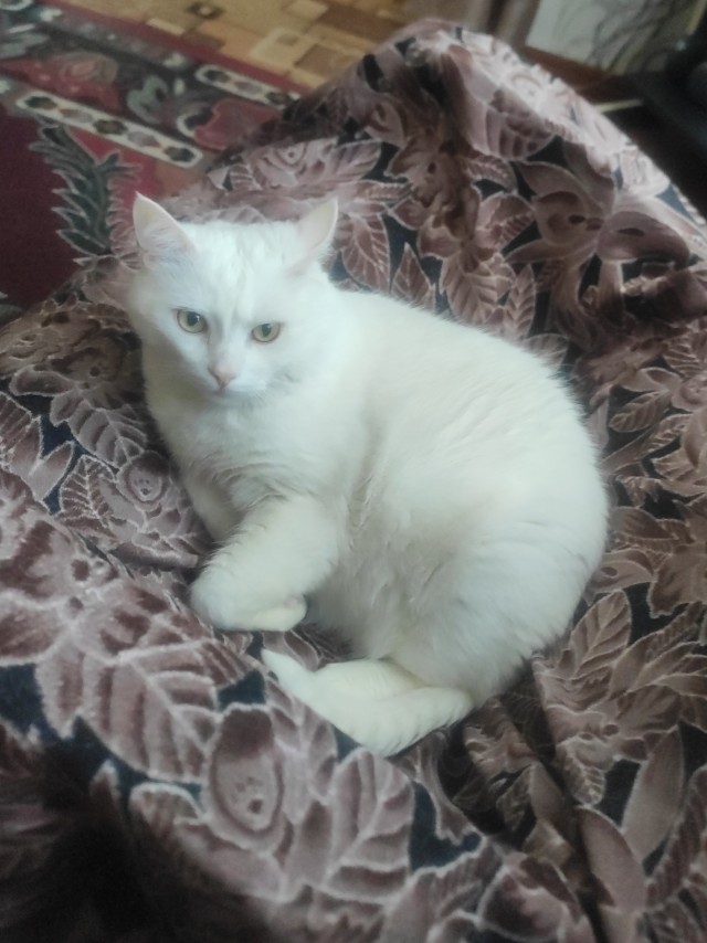 Косоглазый Смайлик