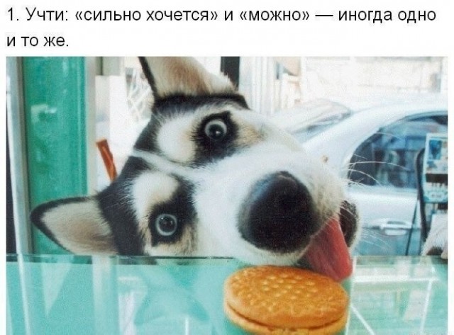 Так себе картинки 16.05.25