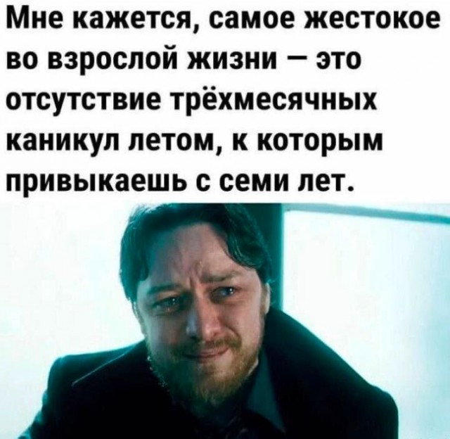20233206.jpg