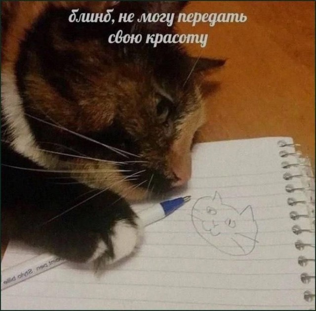 Картинки для деградации 17 (разной степени свежести)