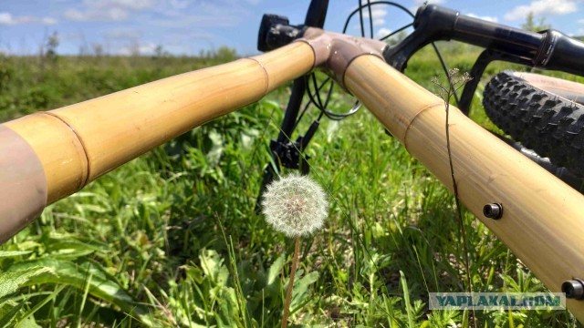 30 000 километров пробега на самодельном велосипеде с бамбуковой рамой.