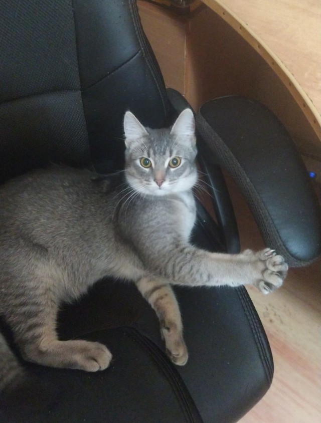 Дружбаны
