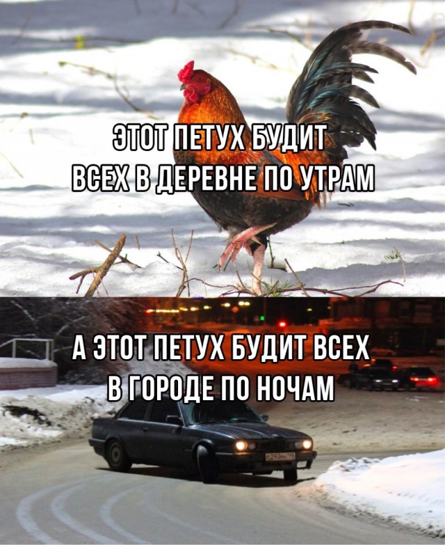 Понедельника картинки