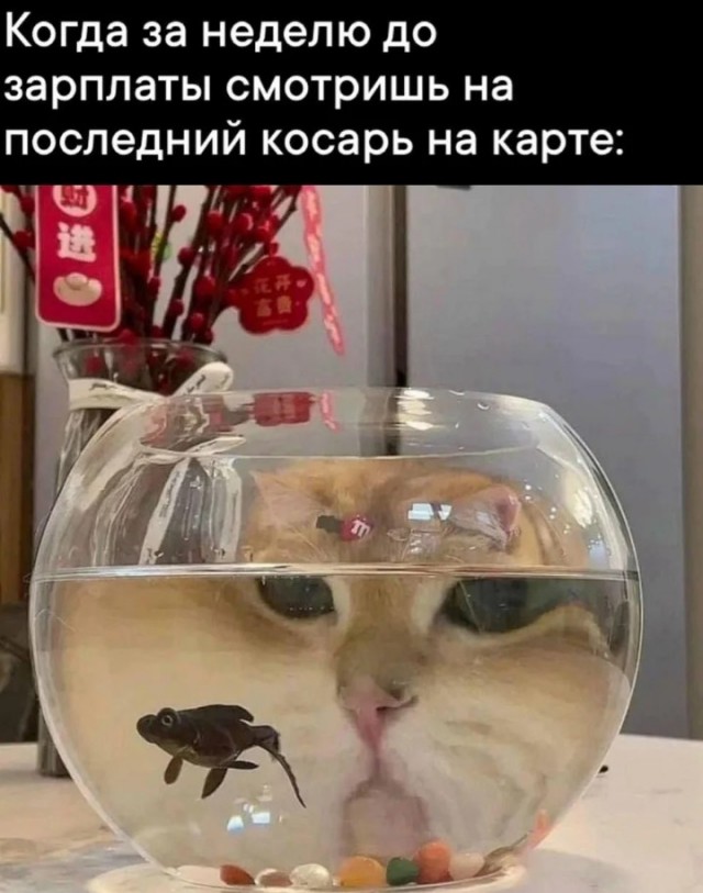 Картинки
