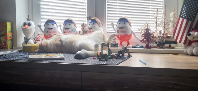 Кошкофторниг