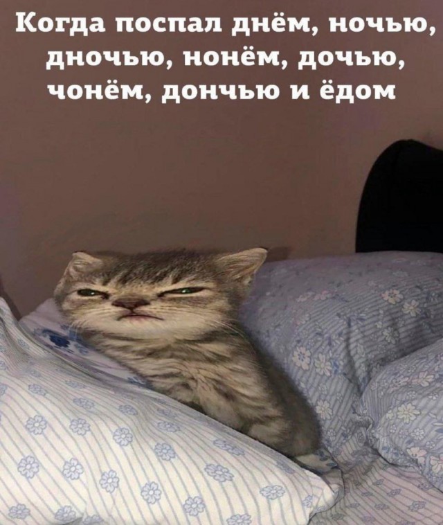 Пятничные картинки