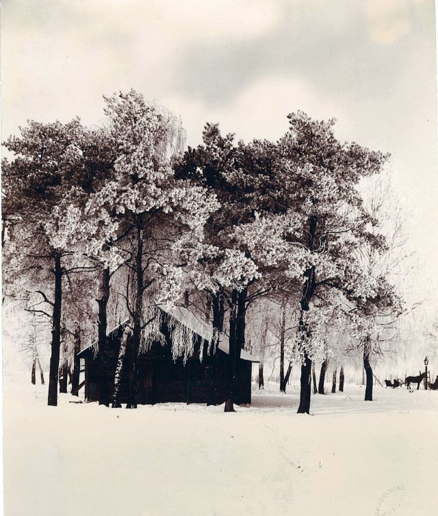 Фото из 1890-х