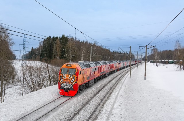 Хищный красавец из Брянска