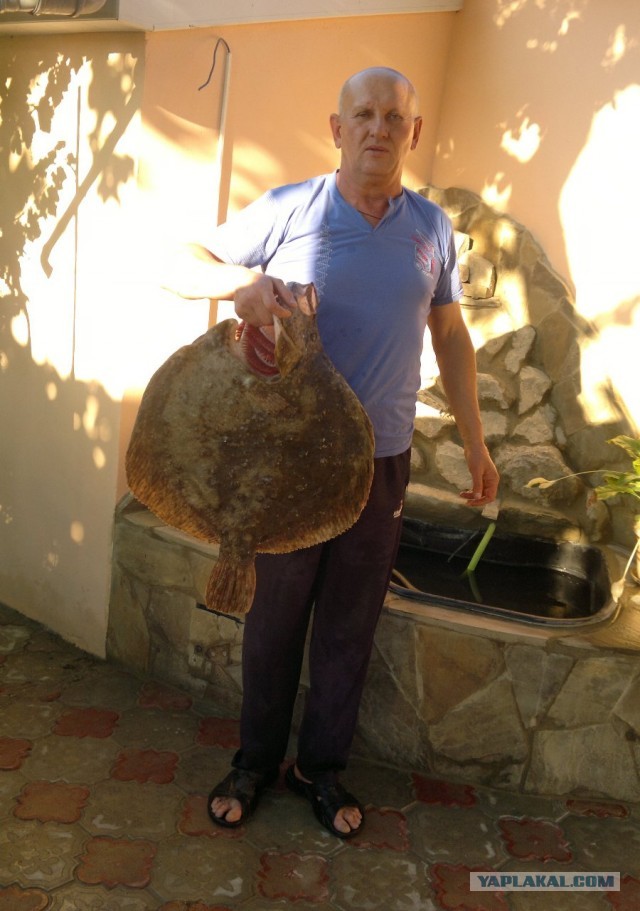 Как мы в Крым катались