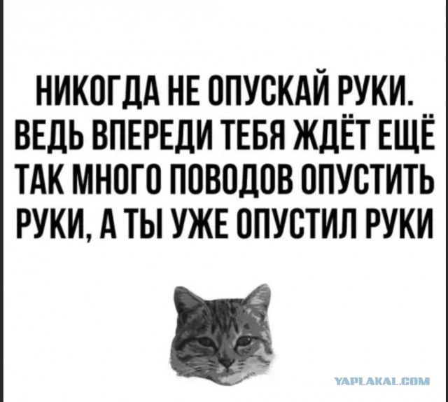 Быть дворником в Кемерово выгоднее чем учителем.