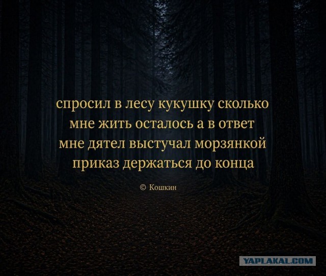 Мужики 40+, скажите честно: дальше будет только хуже?