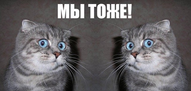 Аж яйца вспотели...