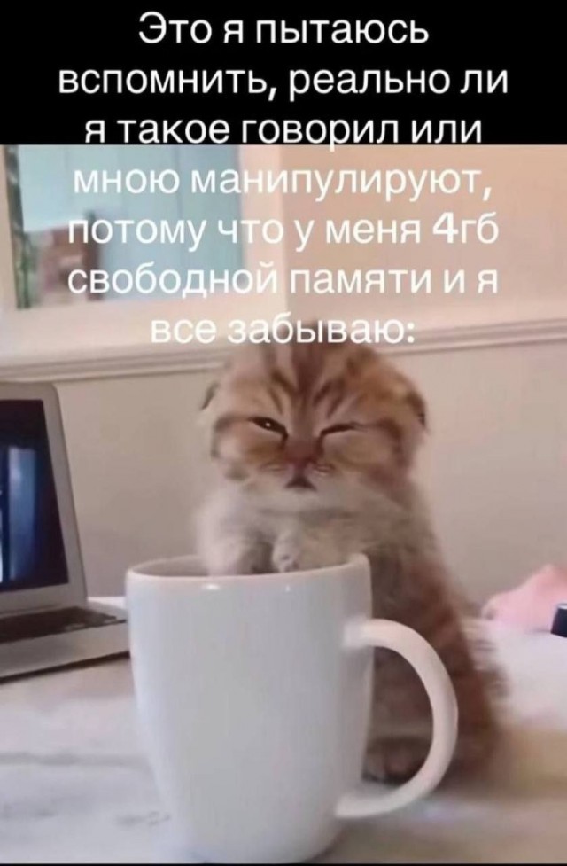 Психомемы-10