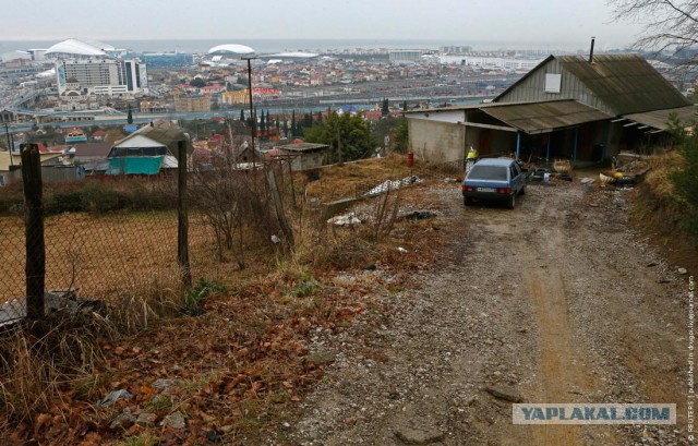 Олимпиада через задницу