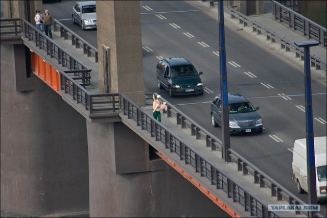 Кому и кобыла невеста