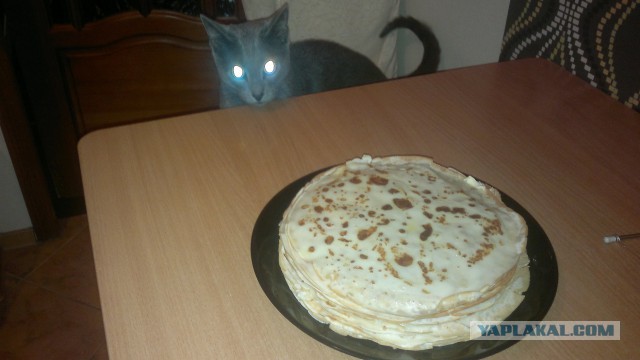 Масленица началась