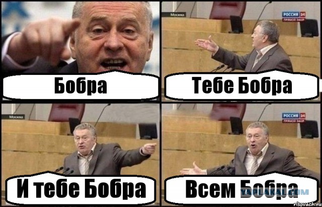 Когда вы плюсуeтe тему в платине
