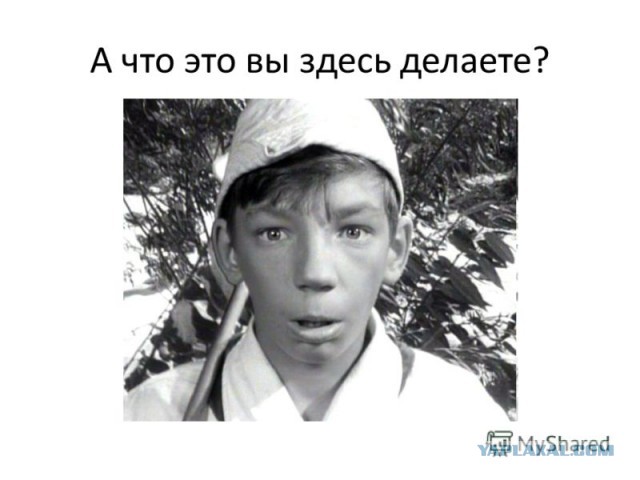 Когда вы плюсуeтe тему в платине