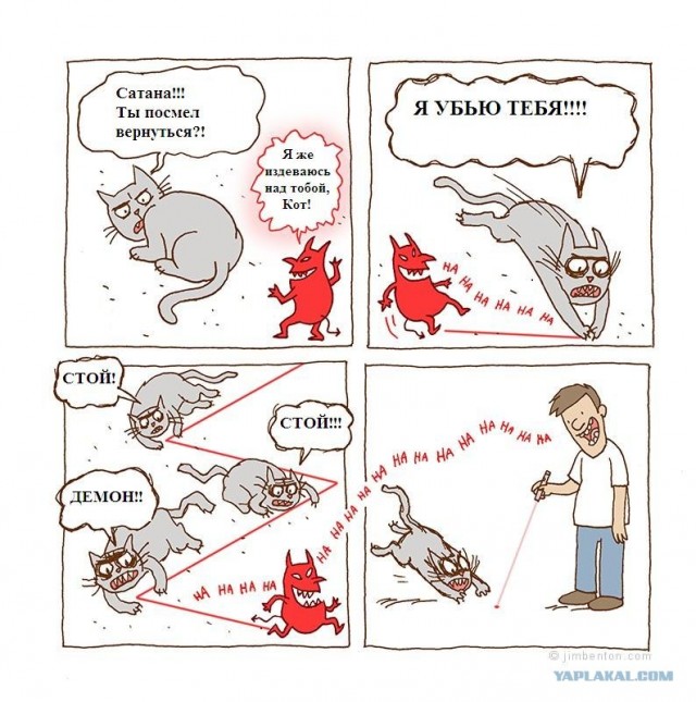 Что видят коты на самом деле