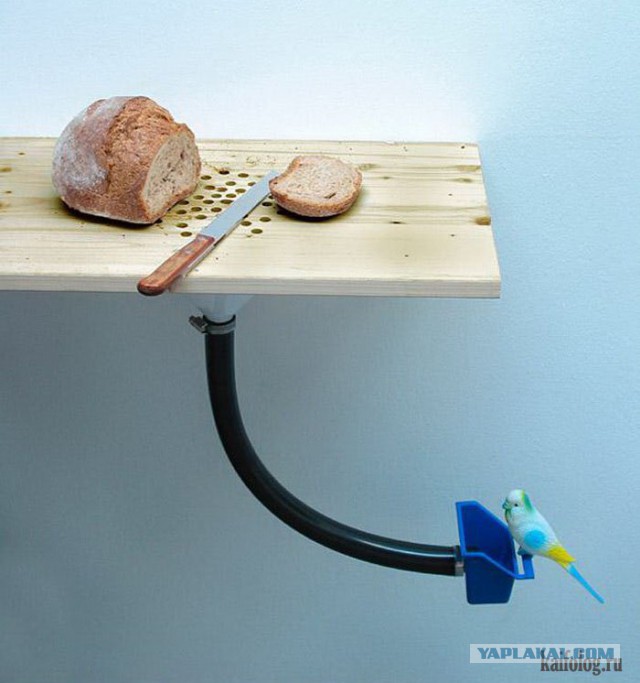 Изобретения, без которых мы обходились раньше