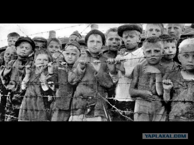 Фотографии войны 1941-1945 годов