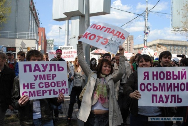 Монстрация в Москве, 18 фото + видео