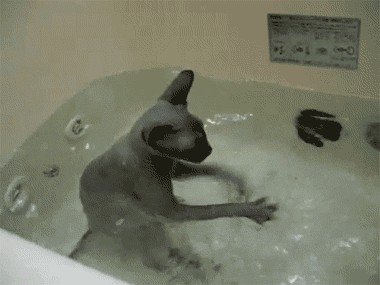 Танцуют ВСЕ!
