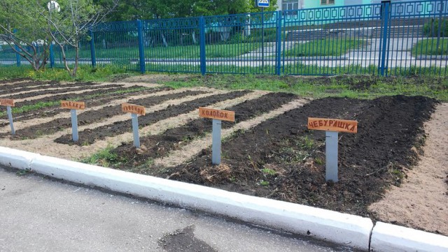 Весёлые картинки